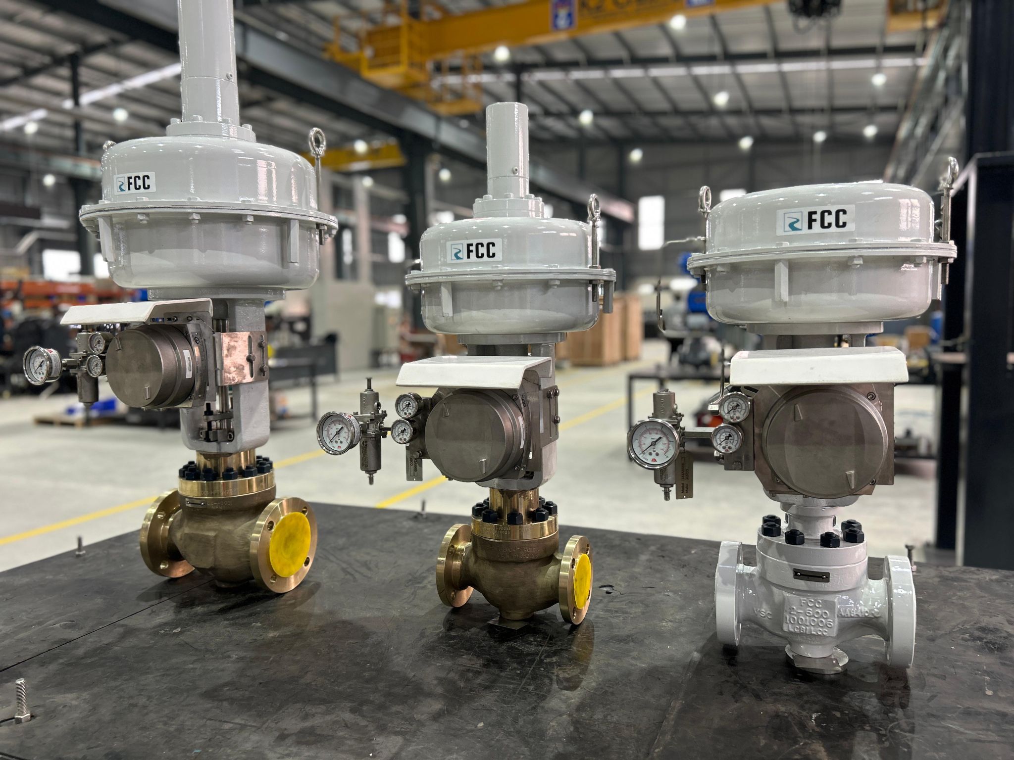 We are pleased to share the successful supply of control valves for an ADNOC offshore project